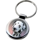 dalmatian_153-701 